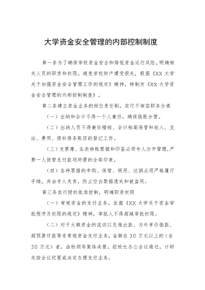 大学资金安全管理的内部控制制度.docx