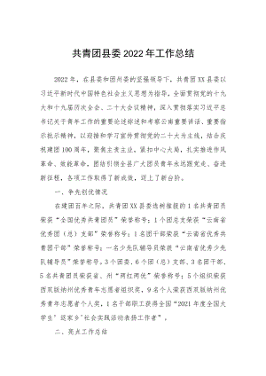 共青团县委2022年工作总结.docx