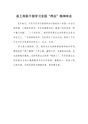 县工商联干部学习全国“两会”精神体会.docx
