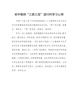 初中教师“三抓三促”进行时学习心得.docx