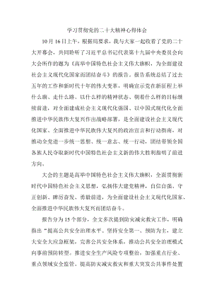 应急管理局执法大队负责人《学习贯彻党的二十大精神》个人心得体会 合计6份.docx