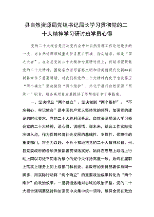 县自然资源局党组书记局长学习贯彻党的二十大精神学习研讨班学员心得.docx