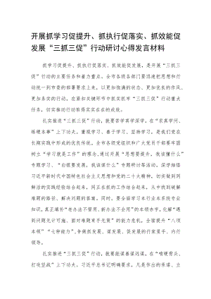开展抓学习促提升、抓执行促落实、抓效能促发展“三抓三促”行动研讨心得发言材料范文通用【三篇】.docx
