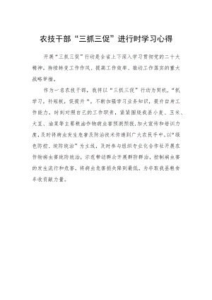 农技干部“三抓三促”进行时学习心得.docx