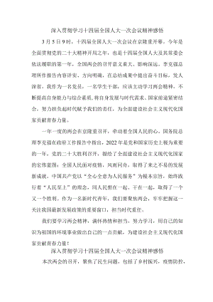 大学生深入贯彻学习十四届全国人大一次会议精神.docx