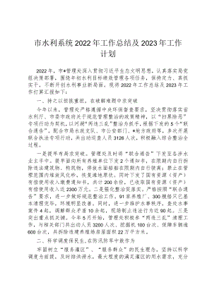 市水利系统2022年工作总结及2023年工作计划.docx