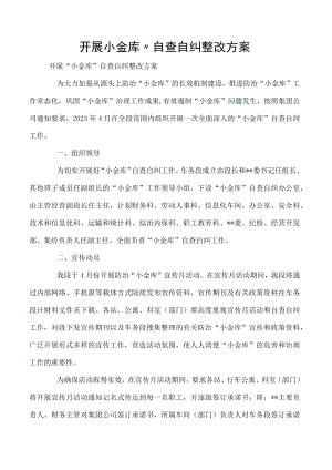 开展小金库”自查自纠整改方案.docx