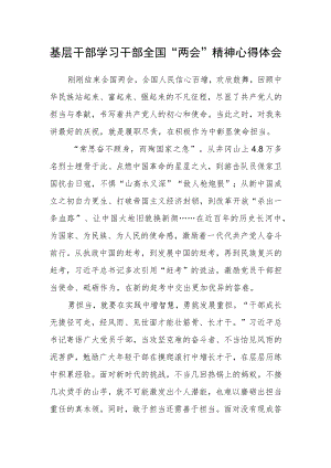 基层干部学习干部全国“两会”精神心得体会.docx