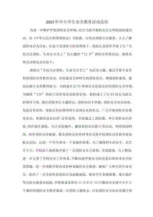 城区2023年学校中小学生安全教育活动总结.docx