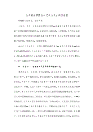 公司新任职团委书记表态发言稿供借鉴.docx