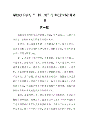 学校校长学习“三抓三促”行动进行时心得体会【精选五篇】.docx