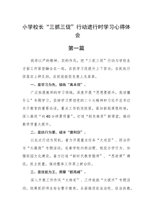 小学校长“三抓三促”行动进行时学习心得体会10篇.docx