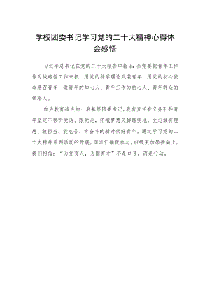 学校团委书记学习党的二十大精神心得体会感悟.docx