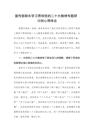 宣传部部长学习贯彻党的二十大精神专题研讨班心得体会.docx