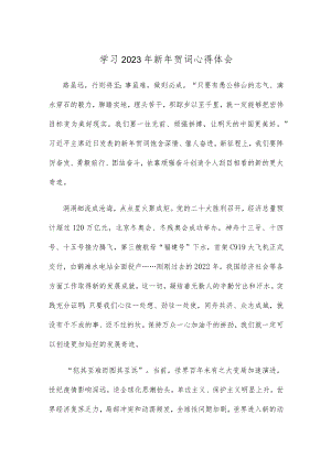 学习2023年新年贺词心得体会.docx