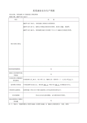 安全监理周报 模板.docx