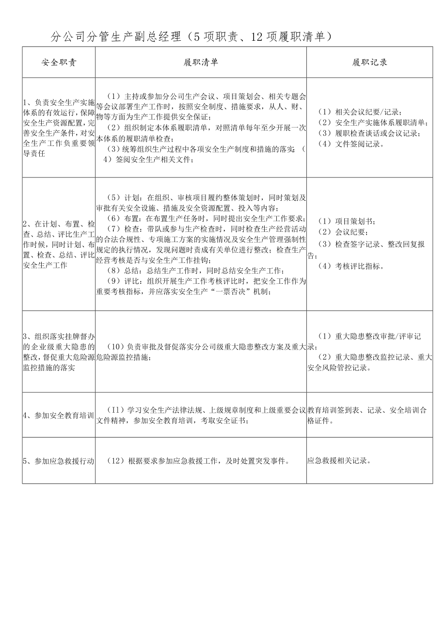 分公司分管生产副总经理履职能力评价清单.docx_第1页