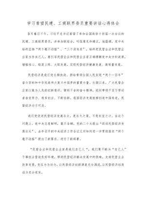 学习看望民建、工商联界委员重要讲话心得体会.docx