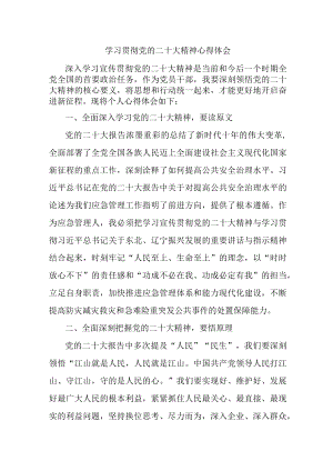 应急管理综合科负责人《学习贯彻党的二十大精神》个人心得体会 （合计4份）.docx