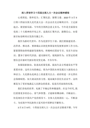 实验学校深入贯彻学习十四届全国人大一次会议心得体会感悟（精编4份）.docx