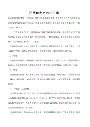 巴西龟怎么养才正确.docx