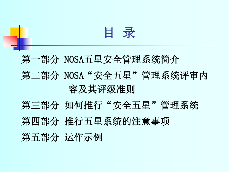 NOSA管理培训(课件1).ppt_第2页