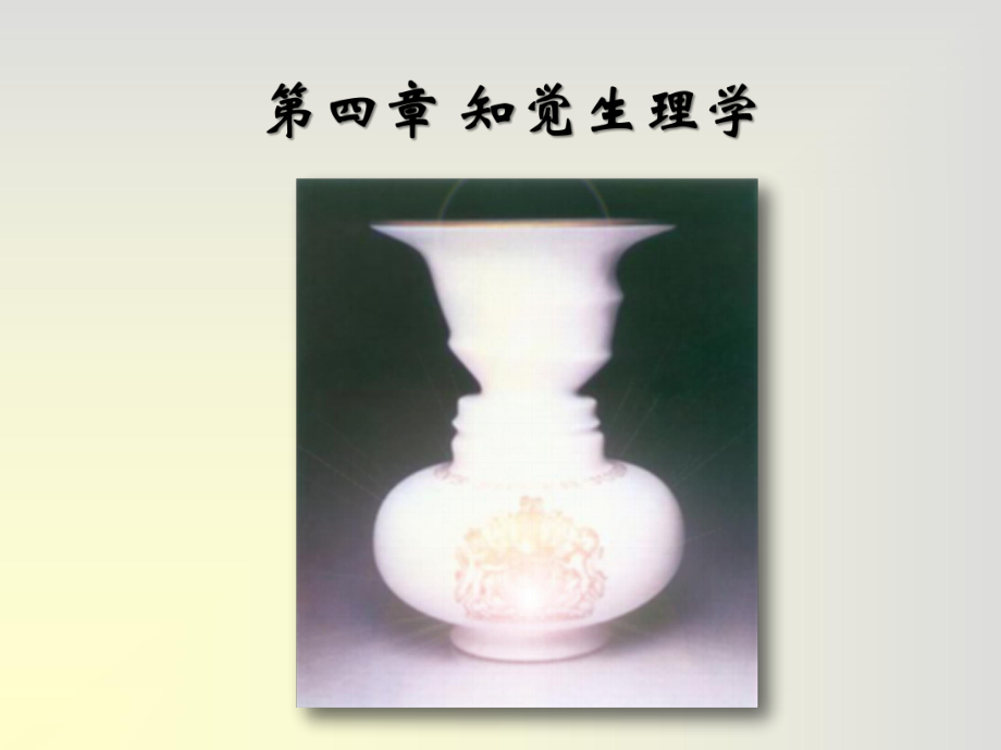 04知觉生理学.ppt_第1页