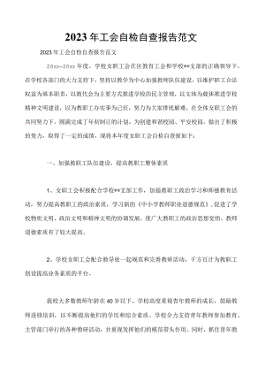 2023年工会自检自查报告范文.docx
