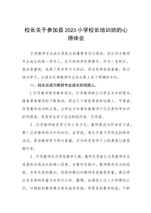 参加2023年小学校长培训心得体会六篇例文.docx