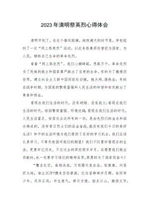 关于2023年清明祭英烈的心得体会.docx