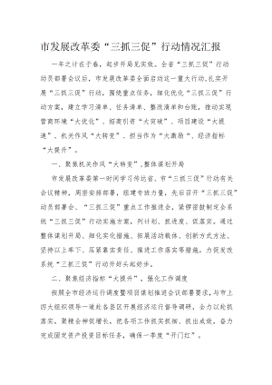 市发展改革委“三抓三促”行动情况汇报.docx