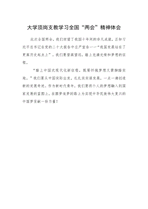 大学顶岗支教学习全国“两会”精神体会.docx