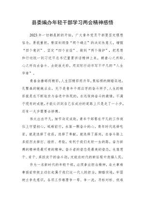 县委编办年轻干部学习两会精神感悟.docx