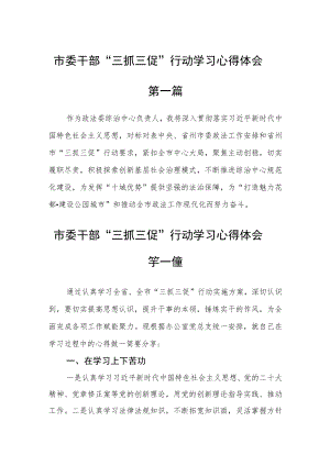 市委干部“三抓三促”行动学习心得体会四篇精选.docx