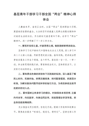 基层青年干部学习干部全国“两会”精神心得体会.docx