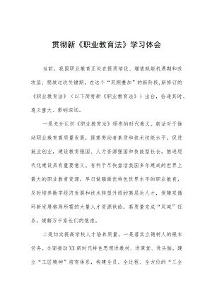 学习新《职业教育法》的体会七篇例文.docx