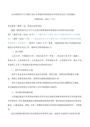 山东省教育厅关于做好2023年普通本科高校综合评价招生试点工作的通知.docx