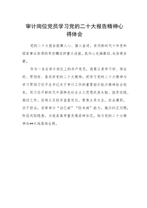 审计岗位党员学习党的二十大报告精神心得体会.docx