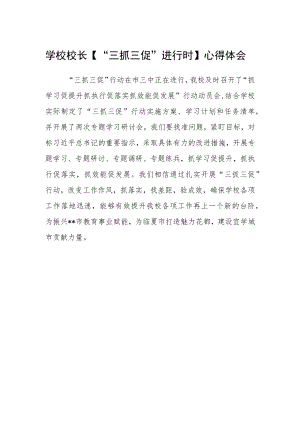 学校校长【“三抓三促”进行时】心得体会.docx