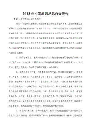 2023年小学教师反思自查报告.docx