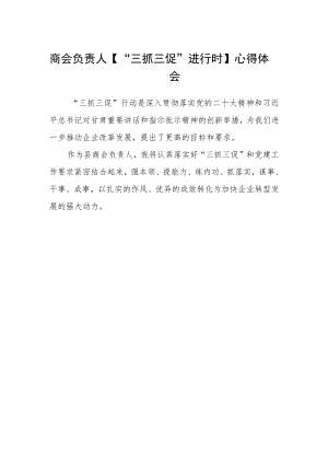 商会负责人【“三抓三促”进行时】心得体会.docx