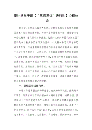审计党员干部【“三抓三促”进行时】心得体会.docx