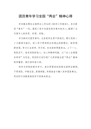 团员青年学习全国“两会”精神心得.docx