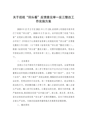 关于落实巡视组巡视“回头看”反馈意见举一反三整改工作实施方案.docx