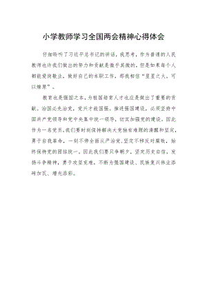 小学教师学习全国两会精神心得体会.docx