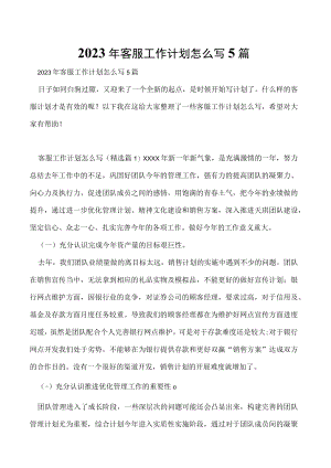 2023年客服工作计划怎么写5篇.docx