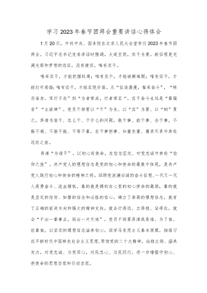 学习2023年春节团拜会重要讲话心得体会.docx