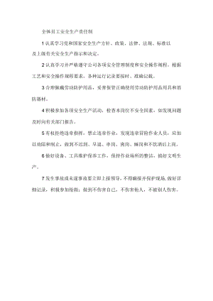 员工安全生产责任制.docx