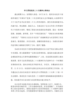 应急管理宣传科党员干部学习贯彻党的二十大精神个人心得体会 合计4份.docx