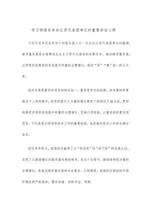 学习领悟在参加江苏代表团审议时重要讲话心得.docx